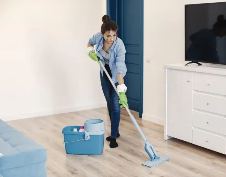 Femme de ménage Senouillac